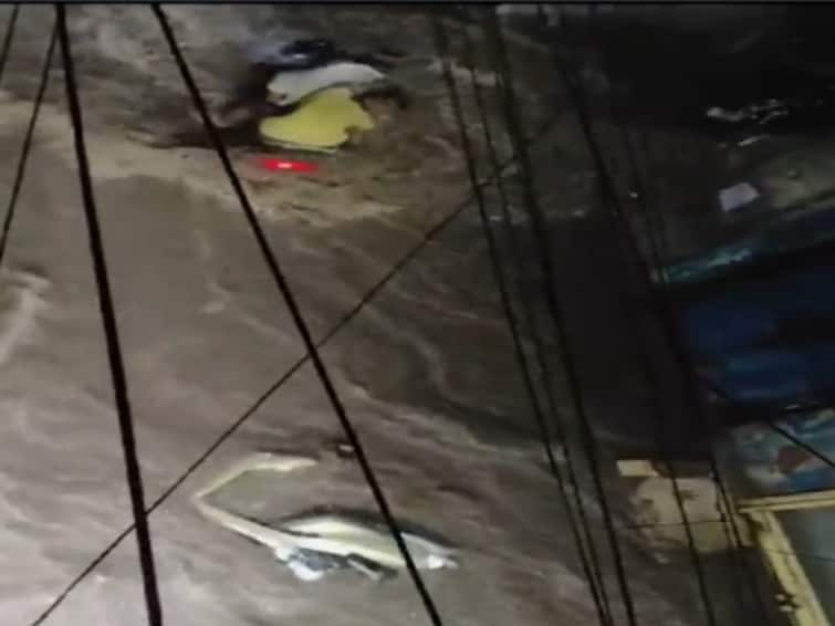 Rajasthan Heavy Rains Two Men Almost Drift Away By Rushing Flood Waters Jodhpur Jaipur Phulera