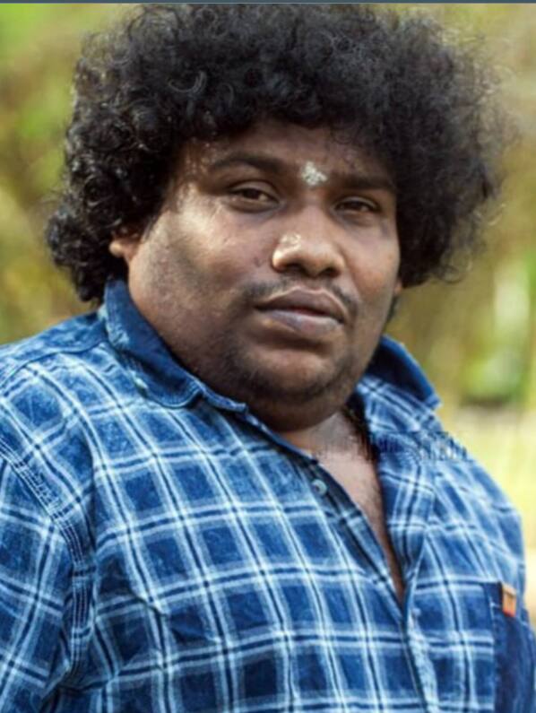 முதலில் அமீர் நடிப்பில் வெளியான ‘யோகி’ படத்தின் முலம் அறிமுகமாகி பின்னர் ’யாம் இருக்க பயமேன்’ என்ற படத்தின் மூலம் தமிழ் சினிமாவில் பிரபலமானர்