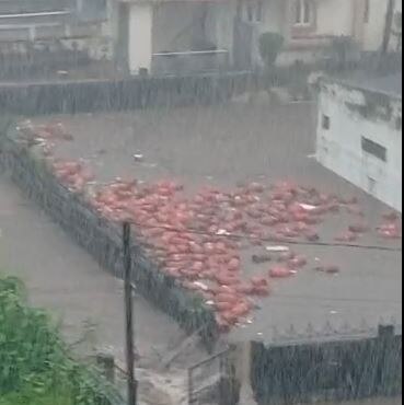 Navsari Rain: નવસારીમાં બારે મેઘ ખાંગા, 12 ઈંચ વરસાદથી શહેરમાં જળબંબાકારની સ્થિતિ 