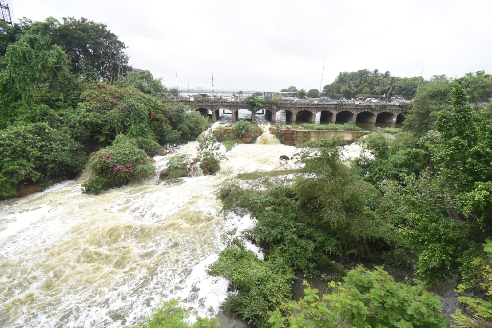 Telangana Rains: ఎడతెరిపి లేకుండా వర్షాలు- ఎలాంటి ఆస్తి, ప్రాణ నష్టం జరగలేదన్న మంత్రి తలసాని