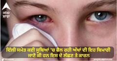 ਦਿੱਲੀ ਸਮੇਤ ਕਈ ਸੂਬਿਆਂ ਵਿੱਚ ਫੈਲ ਰਹੀ ਅੱਖਾਂ ਦੀ ਇਹ ਬਿਮਾਰੀ, ਜਾਣੋ ਕੀ ਹਨ ਇਸ ਦੇ ਲੱਛਣ ਤੇ ਕਾਰਨ?