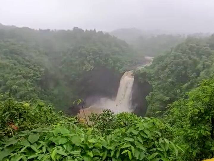 जव्हारमधील दाभोसा आणि काळमांडवी या धबधब्यामध्ये बुडून गेल्या काही दिवसात पर्यटकांचे मृत्यू झाले होते.