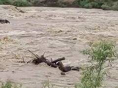 Wardha Rain Update: वर्ध्यात नद्यांच्या पाणी पातळीत वाढ, अनेक गावांना सतर्कतेचा इशारा