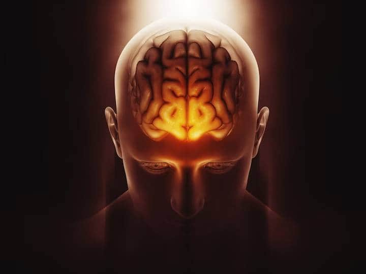 World Brain Day 2023 7 healthy habits to avoid brain disorders World Brain Day 2023: दिमाग की खतरनाक बीमारियों से बचना है, तो इन हेल्दी हैबिट्स से कर लें दोस्ती...