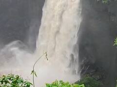 पालघरमधील धबधबे प्रवाहित, पर्यटकांना बंदी नाही, पण...