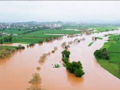 कोल्हापूर, सातारा जिल्ह्यासाठी हवामान विभागाकडून पाच दिवसासांठी ऑरेंज अलर्ट जारी; मुसळधार ते मेघगर्जनेसह पावसाचा अंदाज
