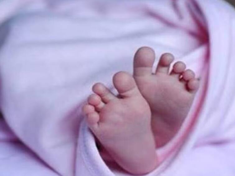 A Child Died Slip in Balcony in Triplicane Chennai Parents worries about it பால்கனியில் இருந்து தவறி விழுந்து சிறுவன் உயிரிழப்பு - சென்னையில் சோகம்