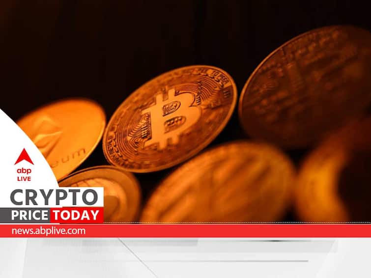 Cryptocurrency Price Today: Bitcoin, Dogecoin See Gains As XDC Network Becomes Top Gainer