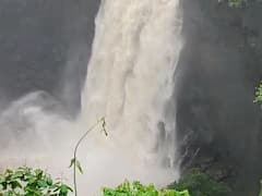 पालघरमधील धबधबे प्रवाहित, पर्यटकांना बंदी नाही, पण...