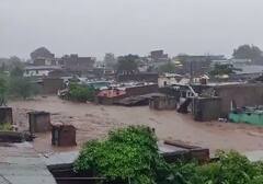 Rain : बुलढाणा जिल्ह्यात मुसळधार पावसामुळं जनजीवन विस्कळीत, पाहा फोटो