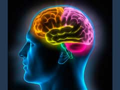 World Brain Day 2023: Know How Yoga And Sleep Can Help To Improve Brain Health