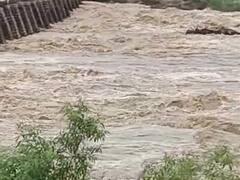 Wardha Rain Update: वर्ध्यात नद्यांच्या पाणी पातळीत वाढ, अनेक गावांना सतर्कतेचा इशारा