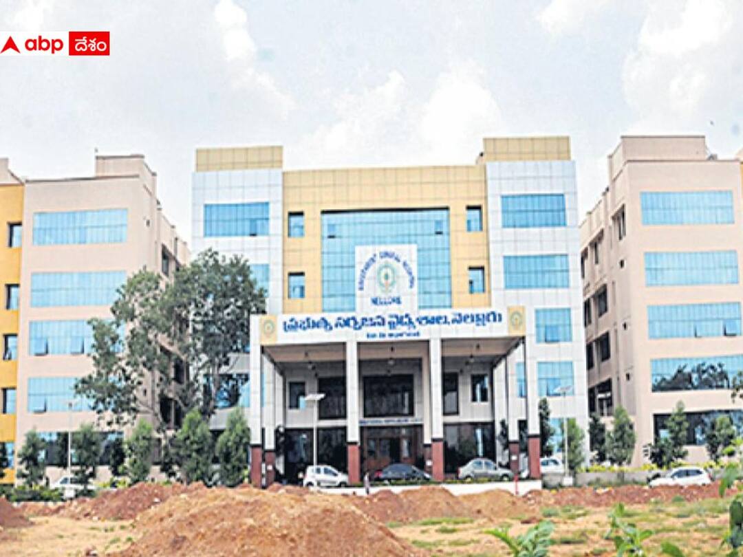 Nellore GGH Deaths: నెల్లూరు జీజీహెచ్లో దారుణం- ఒకేరోజు ఆరుగురు మృతి! వదంతులు నమ్మవద్దన్న సూపరింటెండెంట్ Nellore hospital deaths officials gives clarity on issue Nellore GGH Deaths: నెల్లూరు జీజీహెచ్లో దారుణం- ఒకేరోజు ఆరుగురు మృతి! వదంతులు నమ్మవద్దన్న సూపరింటెండెంట్