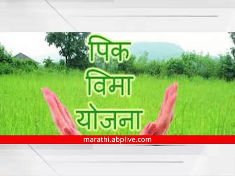 Crop Insurance Deadline  Today last day to pay crop insurance 5 lakh farmers of Hingoli district have taken Crop insurance Crop Insurance Deadline : पीक विमा भरण्यासाठी आजचा शेवटचा दिवस, हिंगोली जिल्ह्यातील 5 लाख शेतकऱ्यांनी काढला विमा