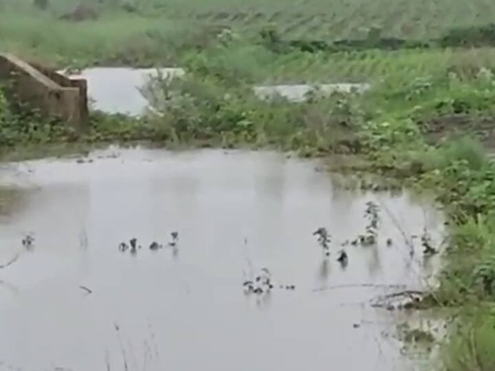 गेल्या वर्षी याच भागात पूर स्थिती निर्माण झाली होती.