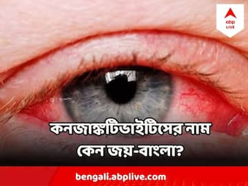 Bangla Meaning of Live