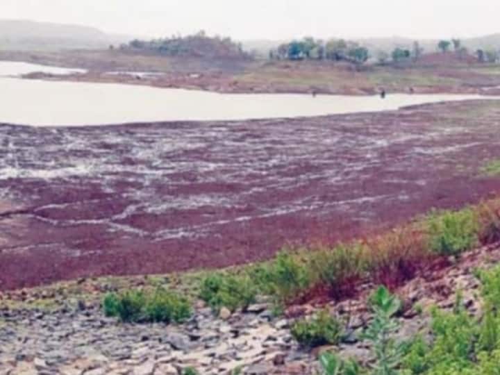 Ambikapur city Municipal corporation will supply water only in the morning Banki dam on the verge of drying up ann Ambikapur Water Supply: कल से सिर्फ सुबह ही पानी सप्लाई करेगा नगर निगम, सूखने की कगार पर बांकी बांध, मच सकता है हाहाकार