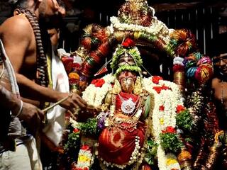 Nellai: Aadipura festival was held to give Sprouted crop to Gandhimatiyambal TNN நெல்லை காந்திமதியம்பாளுக்கு முளைக்கட்டும் ஆடிப்பூர திருவிழா - பக்தர்கள் சாமி தரிசனம்