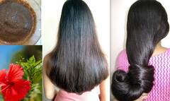 Hair Grow Tips: लांब आणि घनदाट केस हवे? 'या' सोप्या टिप्स करा फॉलो