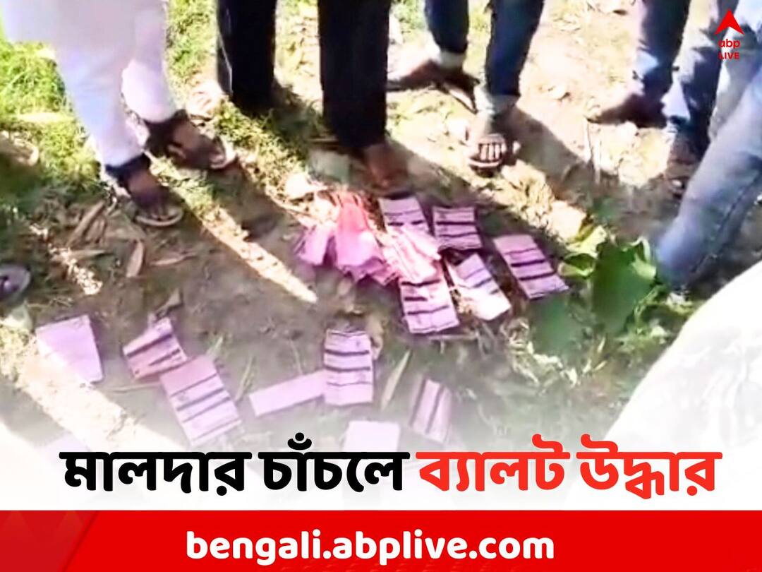 Panchayat Election Result 2023: Ballot Paper rescue near at Malda Chanchal Panchayat Poll 2023: 'ব্যালট লুঠ করে ভোটে জিতেছে TMC', মালদায় ব্যালট উদ্ধারকাণ্ডে অভিযোগ BJP-র