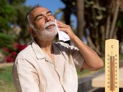 जुलाई में टूट सकता है गर्मी का 100 साल पुराना रिकॉर्ड- नासा की रिपोर्ट