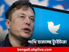 সরবে 'পাখি', লোগো বদলে যাবে ট্যুইটারের! আর কী বললেন মাস্ক?