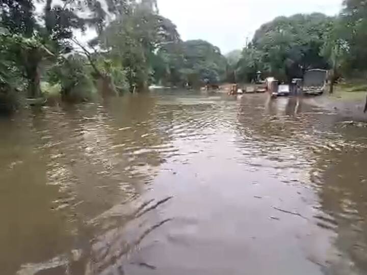 जिल्ह्यातील राधानगरी धरणात 6.78 टीएमसी पाणीसाठा झाला आहे.