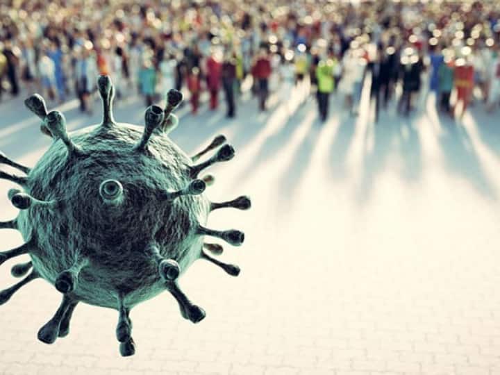 In America, the virus can easily spread from animals to humans – big claim in the report