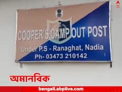 রাস্তায় দেখলেই চিৎকার, তাতেই বিষপ্রয়োগ! রানাঘাটে ৫ পথকুকুরের মৃত্যুতে কাঠগড়ায় স্থানীয় বাসিন্দা