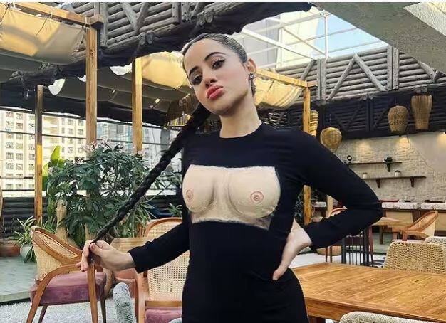 ਸੋਸ਼ਲ ਮੀਡੀਆ ਉਰਫੀ ਦੀ ਕਮਾਈ ਦਾ ਸਭ ਤੋਂ ਵੱਡਾ ਸਰੋਤ ਹੈ। ਲੱਖਾਂ ਫਾਲੋਅਰਸ Urfi ਨੂੰ ਇੱਕ ਵੱਡਾ ਪ੍ਰਭਾਵਕ ਬਣਾਉਂਦੇ ਹਨ ਅਤੇ ਇਸ ਲਈ ਬਹੁਤ ਸਾਰੇ ਵੱਡੇ ਬ੍ਰਾਂਡ ਉਸਦੇ ਨਾਲ ਕੋਲਾਬ ਕਰਦੇ ਹਨ।