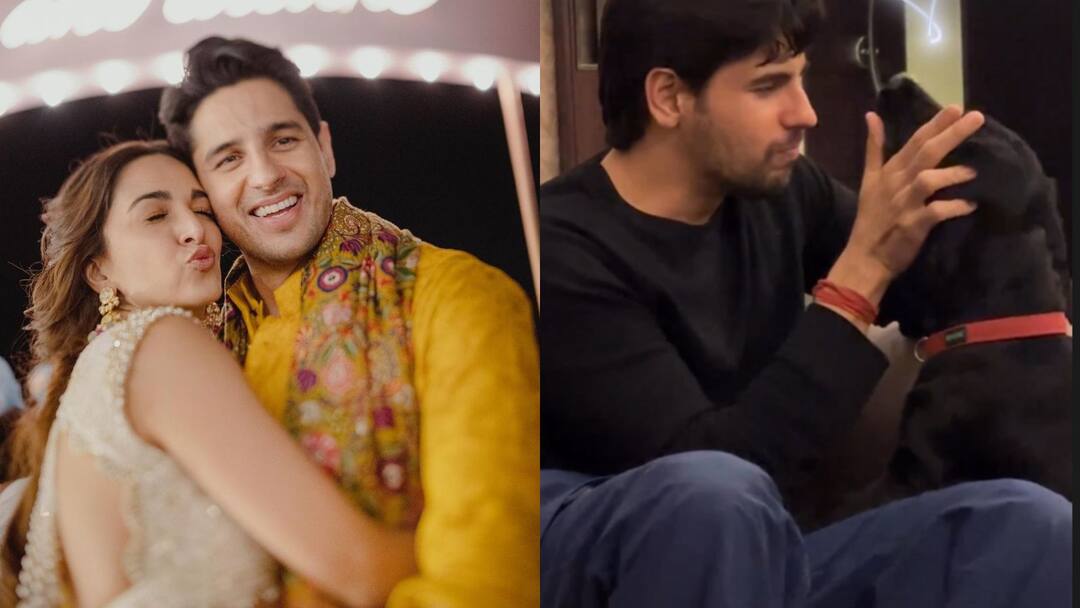 Kiara Advani is in love with Sidharth Malhotra as he plays with his pet dog Kiara Advani: পোষ্য়র সঙ্গে খেলায় মগ্ন সিদ্ধার্থ! আবেগমাখা পোস্ট শেয়ার করলেন কিয়ারা