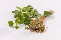 पिज्जा और पास्ता में डलने वाले ऑरेगेनो के 6 सेहत लाभ जानिए