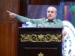 सीमा हैदर की वजह से पाकिस्तान में लगेगा मार्शल लॉ! PM शरीफ को सता रहा है सांप्रदायिक हिंसा का डर