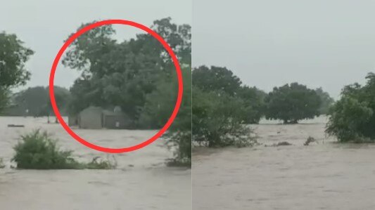 Rajkot Rain: વાદીપરા ગામે સીમ વિસ્તારમાં 15 લોકો ફસાયા, જીવ બચાવવા વૃક્ષ પર આશરો લીધો