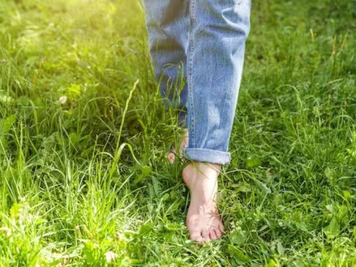 benefits-of-walking-barefoot-on-grass-in-morning marathi news Health Tips : सकाळी गवतावर अनवाणी चालण्याने मिळतात 'हे' जबरदस्त फायदे; आजपासूनच चालायला सुरुवात करा