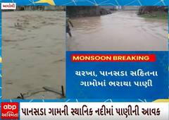 Amreli Rain | બાબરામાં શિવાજી ચોક પાસે ભરાયા વરસાદી પાણી, જુઓ વીડિયોમાં કેવી છે સ્થિતિ