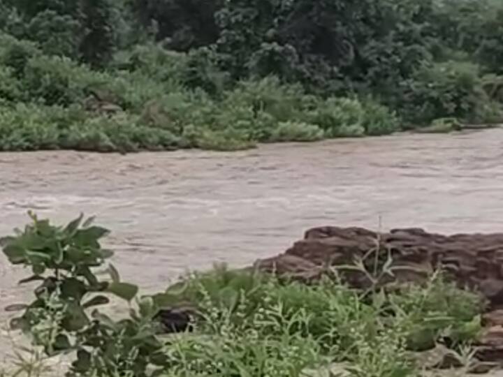 या पावसामुळे वर्ध्यातील वर्धा आणि यशोदा नदीला पूर आला आहे.