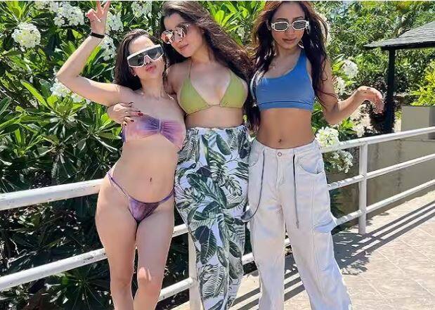 ਗੂਗਲ ਦੇ ਸੀਈਓ ਸੁੰਦਰ ਪਿਚਾਈ ਦੀ ਉਦਾਹਰਣ ਲਓ। ਉਰਫੀ ਜਾਵੇਦ ਦੀ ਕਮਾਈ ਦਾ ਅੰਕੜਾ ਗੂਗਲ ਦੇ ਸੀਈਓ ਸੁੰਦਰ ਪਿਚਾਈ ਦੀ ਕਮਾਈ ਤੋਂ ਵੱਧ ਹੈ।