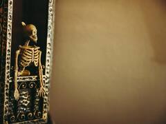 शरीर के इस हिस्से में होती हैं सबसे ज्यादा हड्डियां, पढ़िए अपनी बोन्स से कुछ मजेदार फैक्ट्स