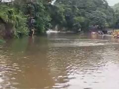 Kolhapur Rain Update: कोल्हापूर, सातारा जिल्ह्याला हवामान विभागाकडून रेड अलर्ट, अतिमुसळधार पावसाची शक्यता