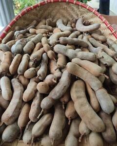 खट्टी-मीठी इमली के 7 जादुई फायदे जो अब तक नहीं जानते होंगे आप