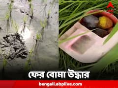 ভোট মিটলেও মিলছে না স্বস্তি, ফের বোমা উদ্ধার মালদায়