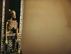 ਸਰੀਰ ਦੇ ਇਸ ਹਿੱਸੇ ‘ਚ ਹੁੰਦੀਆਂ ਸਭ ਤੋਂ ਵੱਧ ਹੱਡੀਆਂ, ਪੜ੍ਹੋ ਆਪਣੀਆਂ ਹੱਡੀਆਂ ਦੇ ਕੁਝ ਮਜ਼ੇਦਾਰ ਫੈਕਟਸ