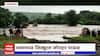 Yavatmal Flood : यवतमाळ जिल्ह्यात तुफान पाऊस, 40 हजार हेक्टरवरील पिकांचं नुकसान