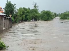 Maharashtra Rain : राज्यात मुसळधार पाऊस, काही भागात जनजीवन विस्कळीत