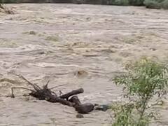 Wardha News: वर्धा आणि यशोदा नदीला पूर ,निम्न वर्धा धरणाचे 25 दरवाजे उघडले