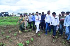 Dhananjay Munde : कृषीमंत्री धनंजय मुंडे थेट शेतकऱ्यांच्या बांधावर, पाहा फोटो