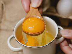 Egg Hair Mask: চুলে কি শুধু মাখলেই হবে, নাকি প্রয়োজন খাওয়াও? কীভাবে চুলের পরিচর্যায় কাজে লাগে ডিম?