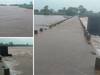 Sangli Rain Update: वारणा नदी पात्राबाहेर, चांदोली धरणाच्या पाणलोट क्षेत्रामध्ये अतिवृष्टी; शिराळा तालुक्यात मांगले, सावर्डे पूल पाण्यात