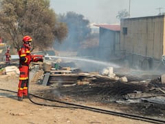 Greece: Thousands Evacuated As Raging Wildfires Ravage Rhodes Island. In Pics